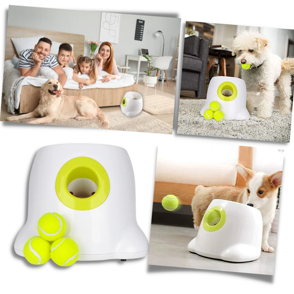 Automatische hondenbalwerper