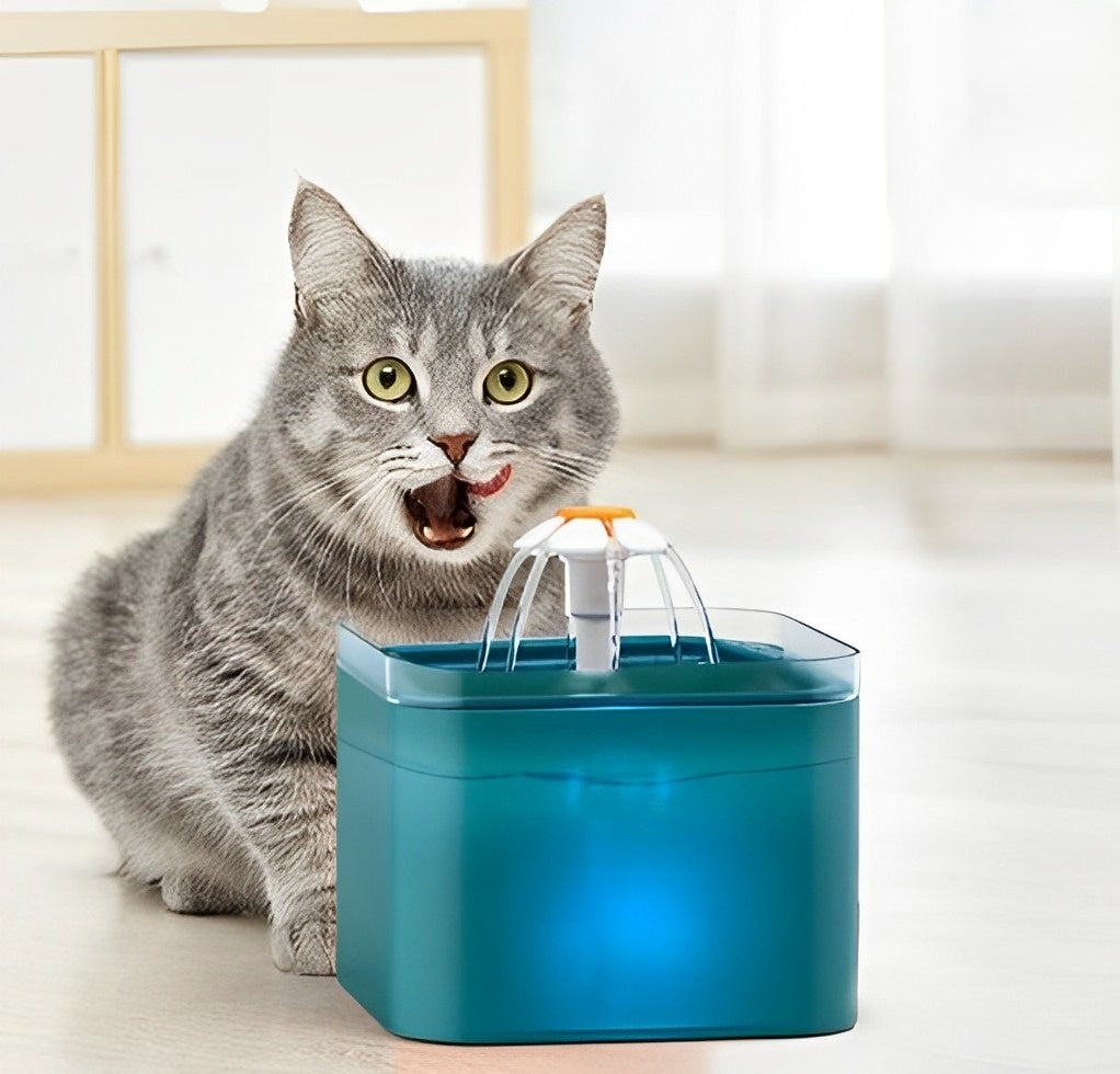 Premium katten drinkwaterfontein