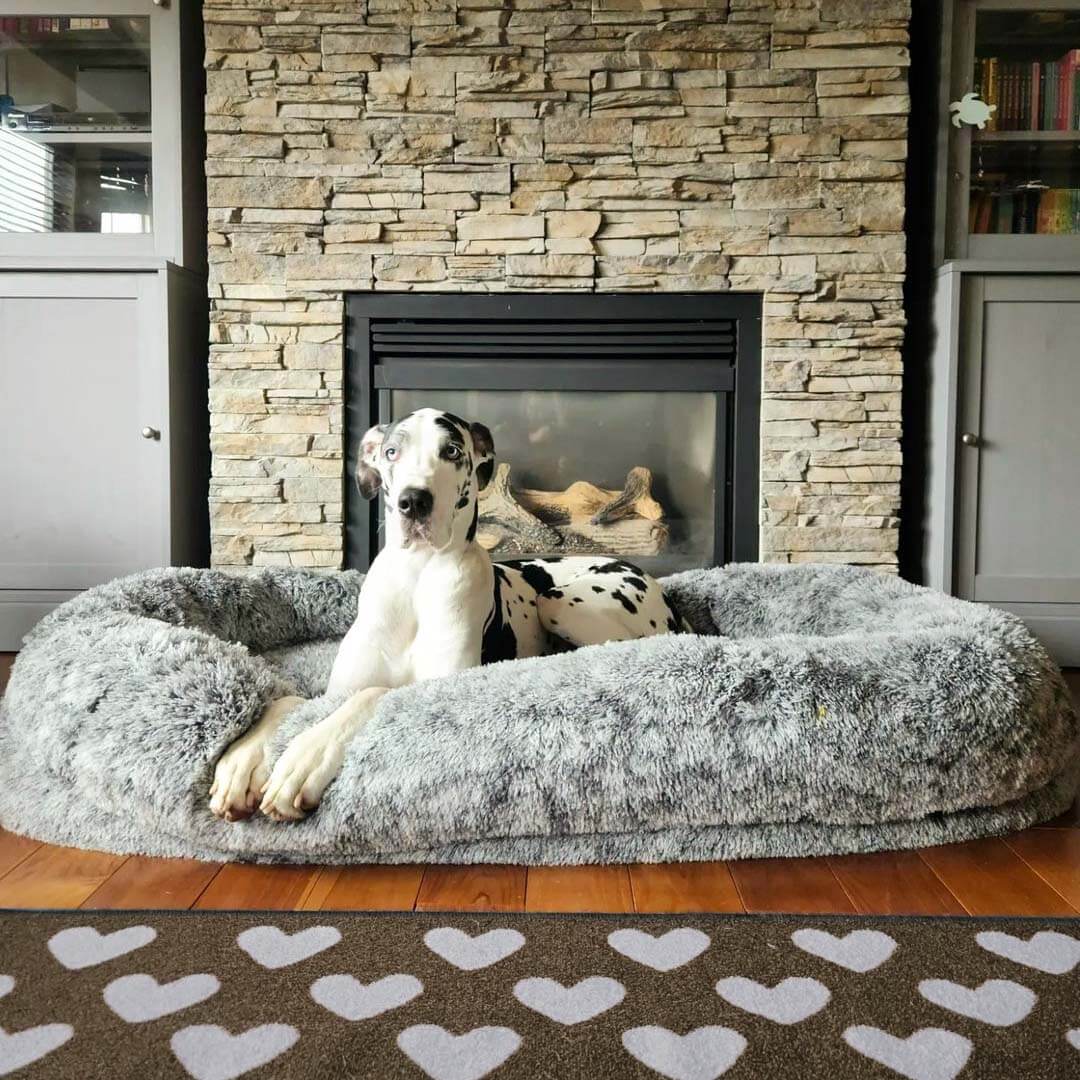 Luxe Super Groot Dieper Slapen Ovaal Bed Mens Hond Bed