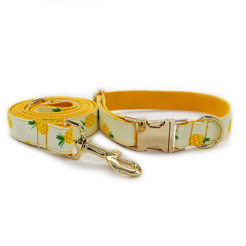 Ananas Halsband en Lijn