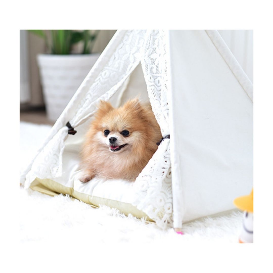 Designer wit huisdier teepee