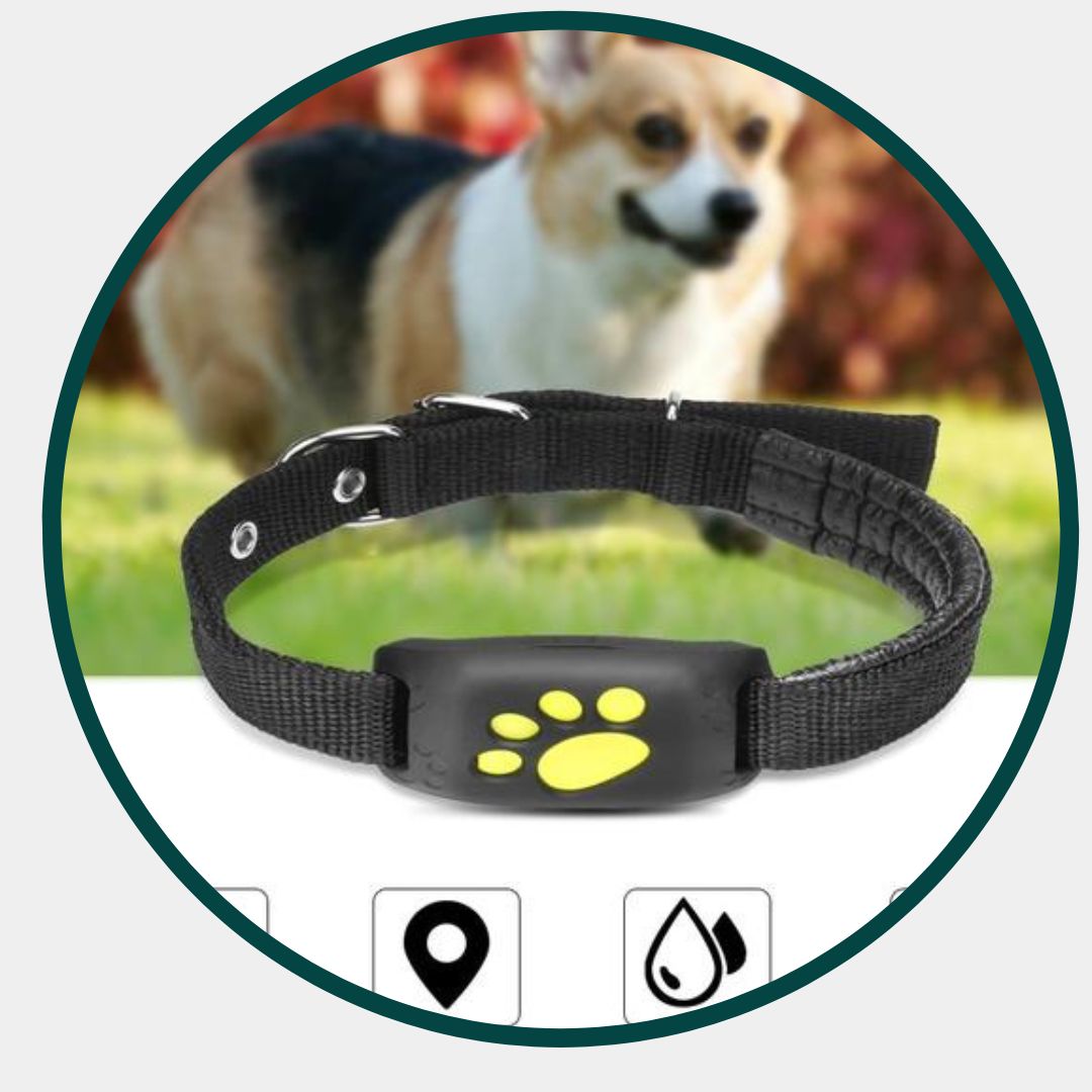 GPS Huisdier Tracker