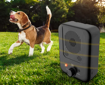 Anti-blafapparaat dat je hond traint