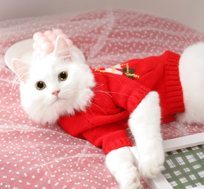 Fall Sweater