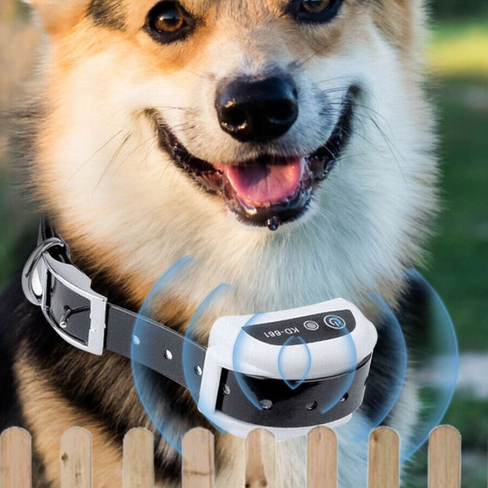 Kabelloses unsichtbares unterirdisches elektrisches Hundetrainings-Drahtzaun-Set
