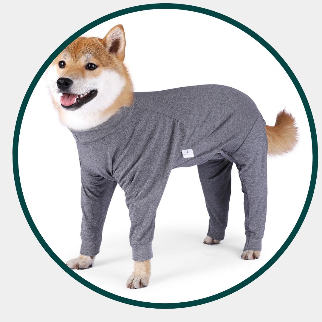 Hondenpyjama's