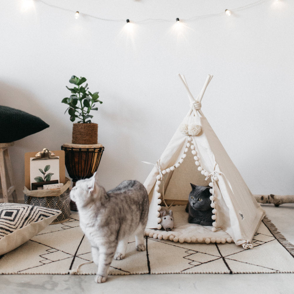 Boheemse huisdier TeePee
