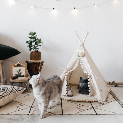 Boheemse huisdier TeePee