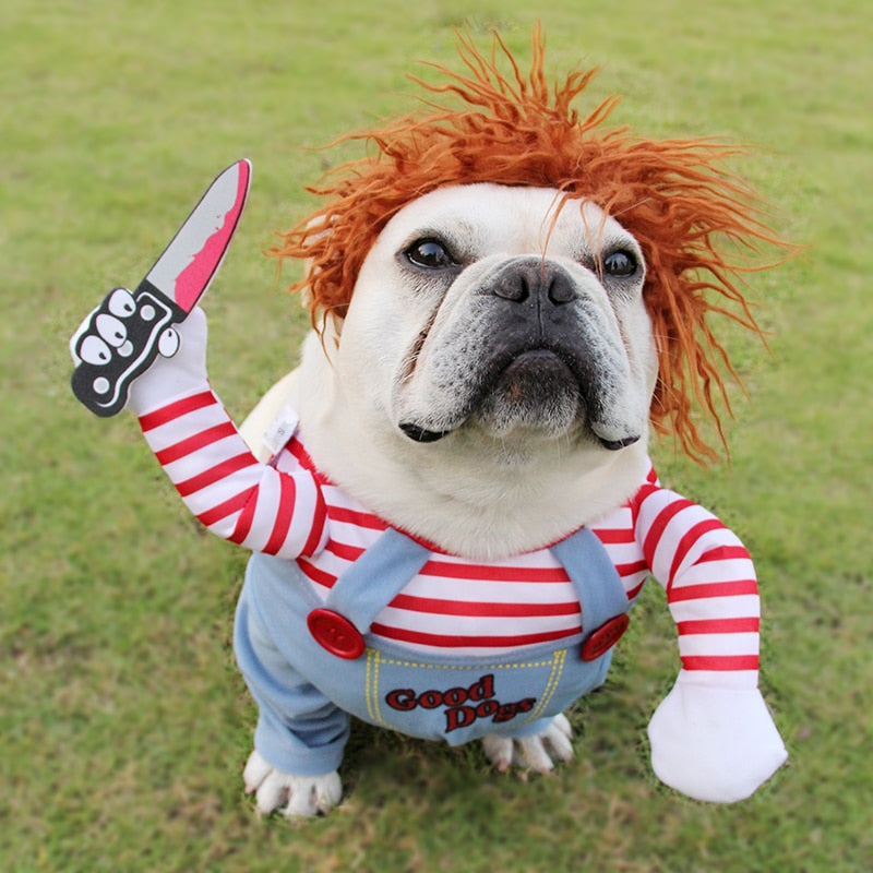 Fancy Dress : Puppies Play