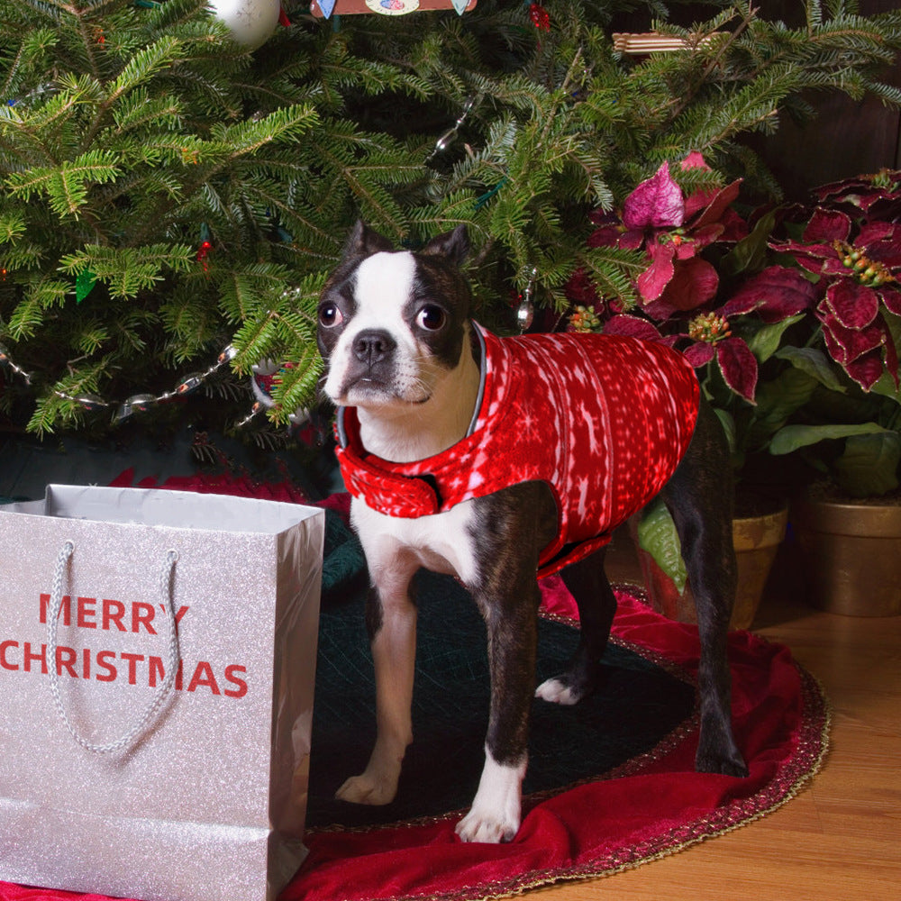 Festive Pullover