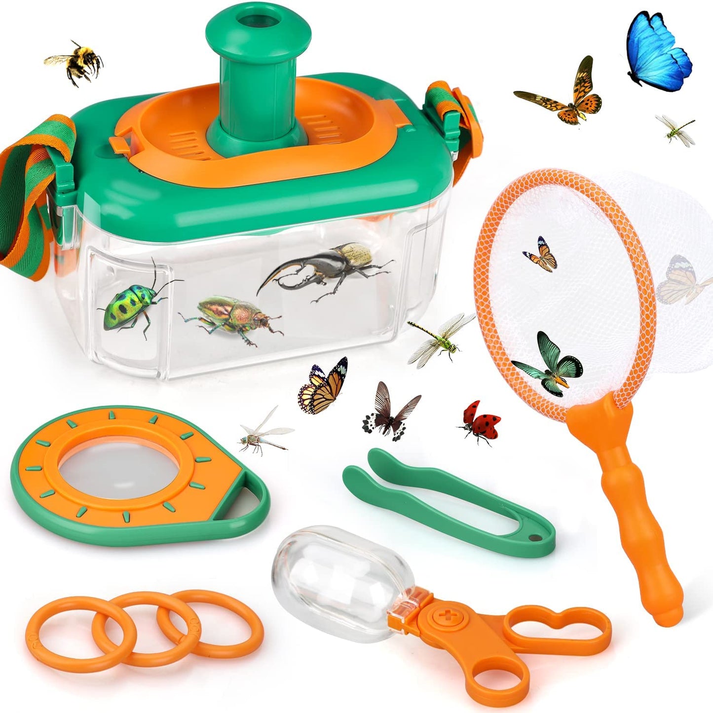Bug Lab | Explore the world - Insect Hotel