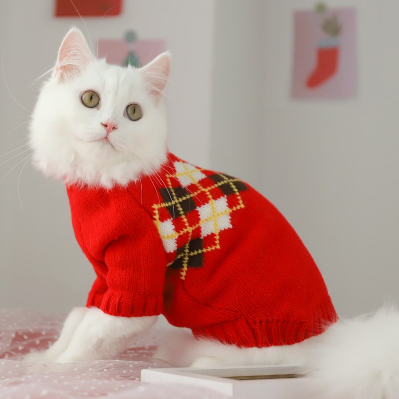 Fall Sweater