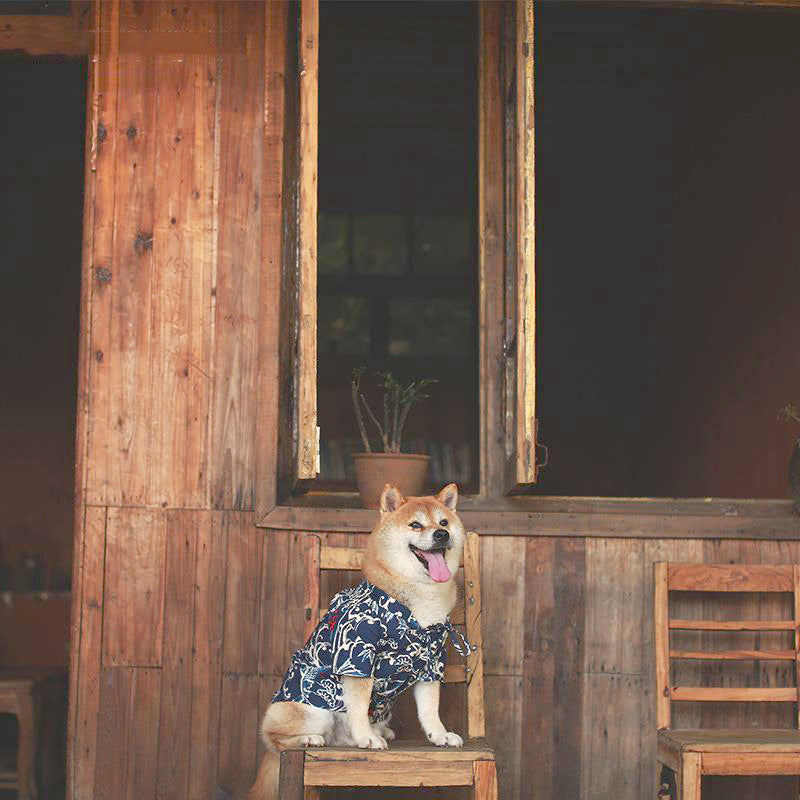 Bouboo kimono huisdierkleding