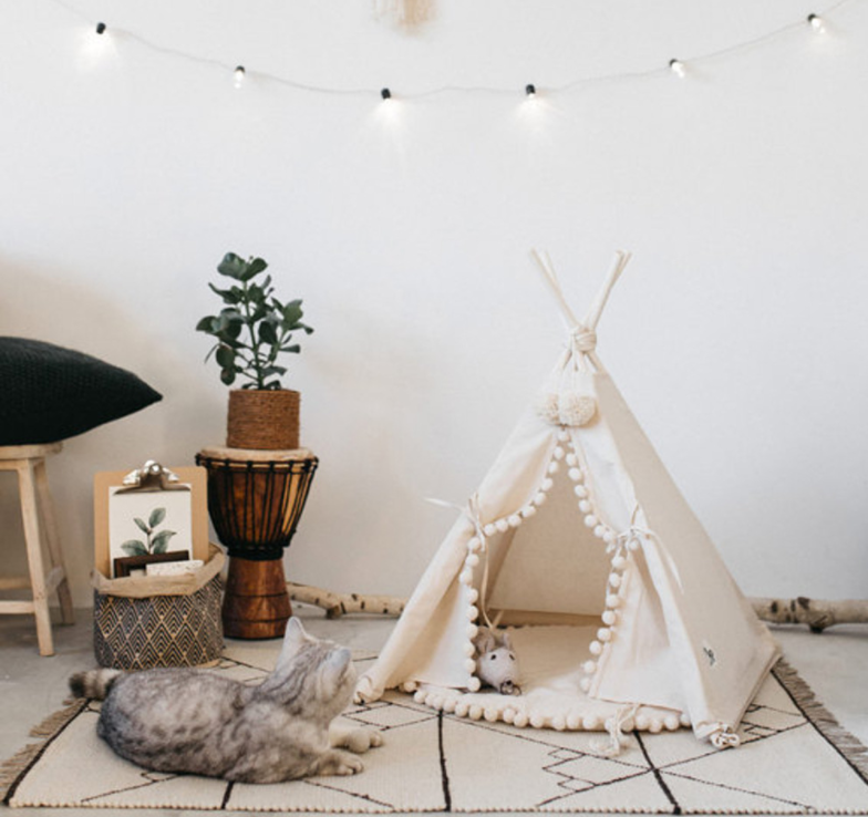 Boheemse huisdier TeePee