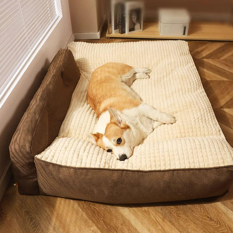 All Seasons Verdikte Grote Wasbare Kat & Hond Kussenbed