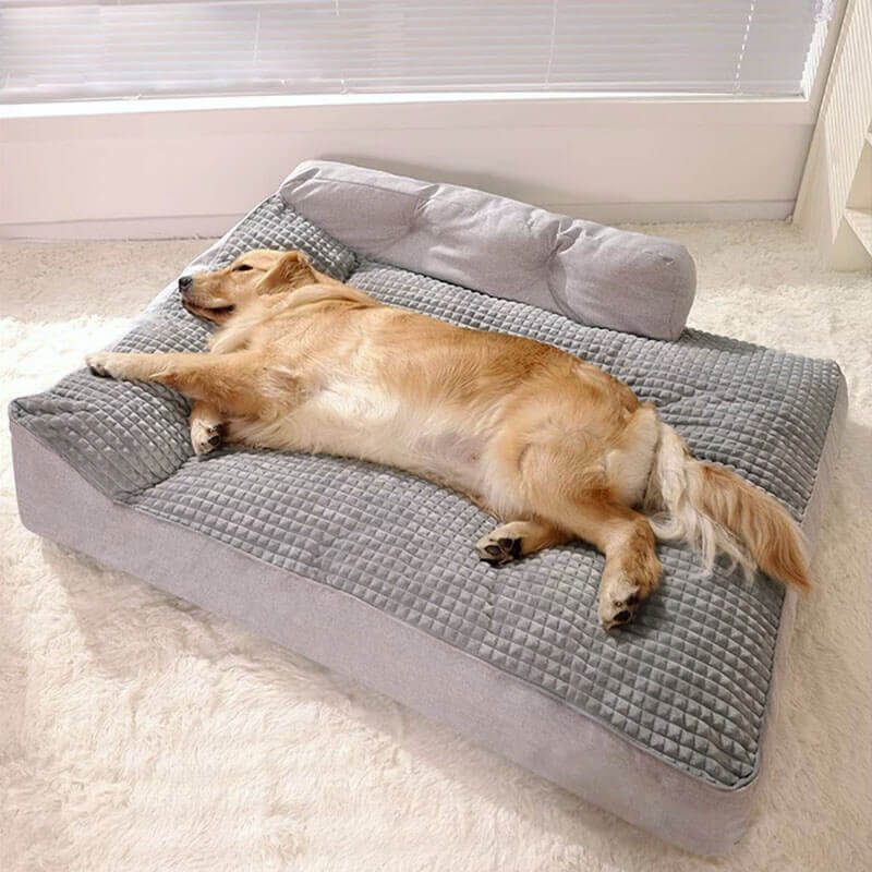 All Seasons Verdikte Grote Wasbare Kat & Hond Kussenbed