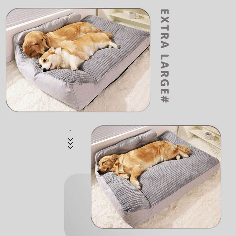All Seasons Verdikte Grote Wasbare Kat & Hond Kussenbed