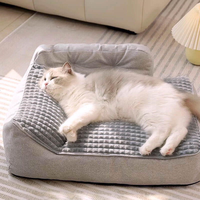 All Seasons Verdikte Grote Wasbare Kat & Hond Kussenbed