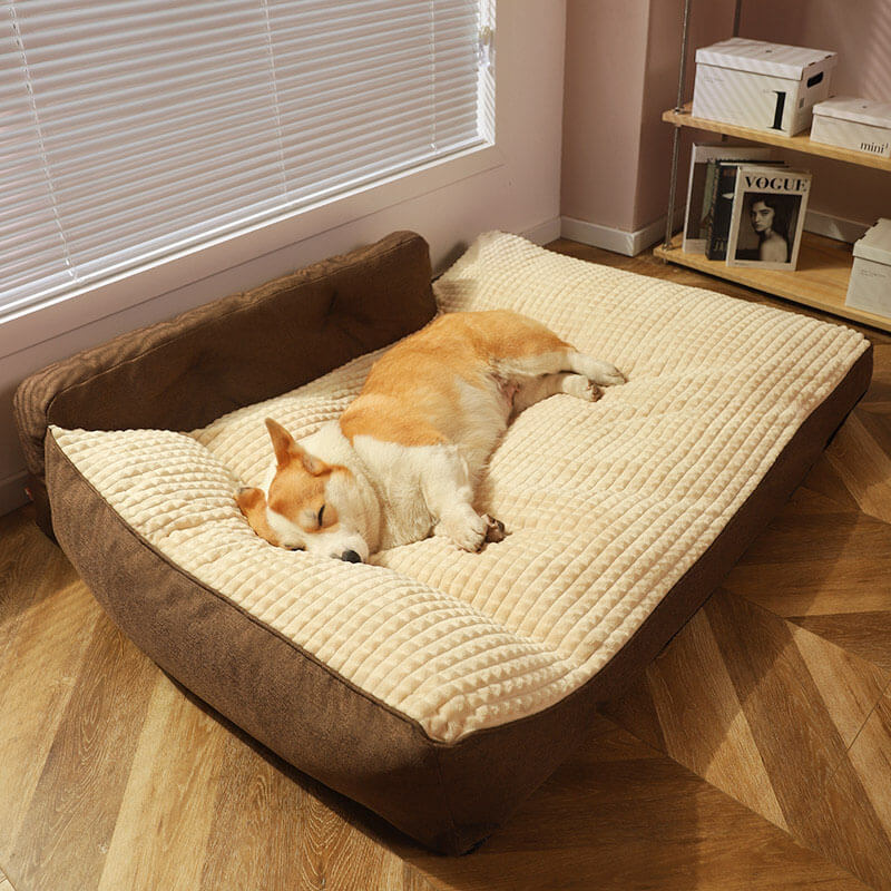 All Seasons Verdikte Grote Wasbare Kat & Hond Kussenbed