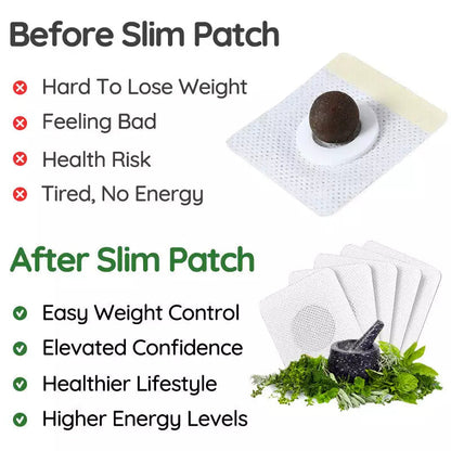 BellyLab Slimming Pallet