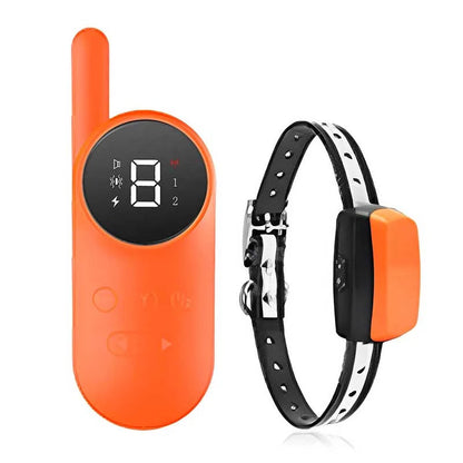 Beste trainingshalsband voor kleine honden