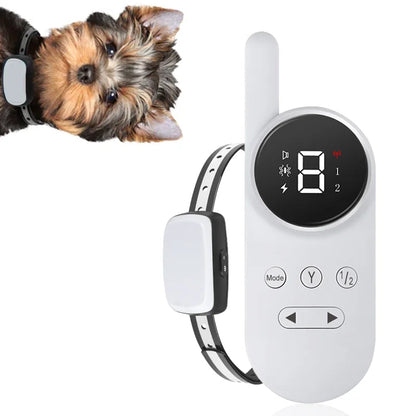 Beste trainingshalsband voor kleine honden