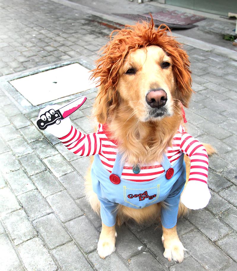 Fancy Dress : Puppies Play