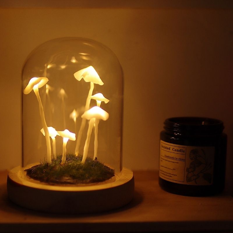 Håndlavet DIY svampelys sæt