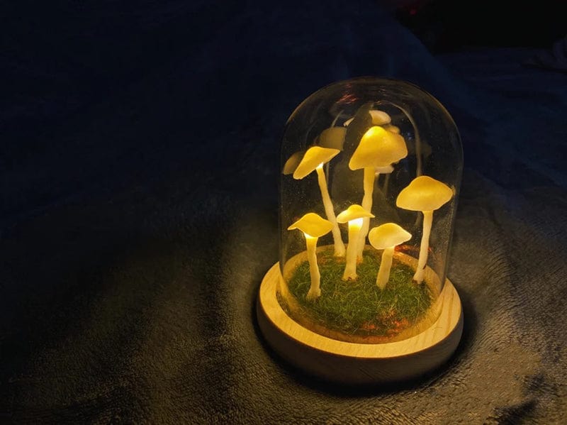 Doe-het-zelf paddenstoelen in bossen licht