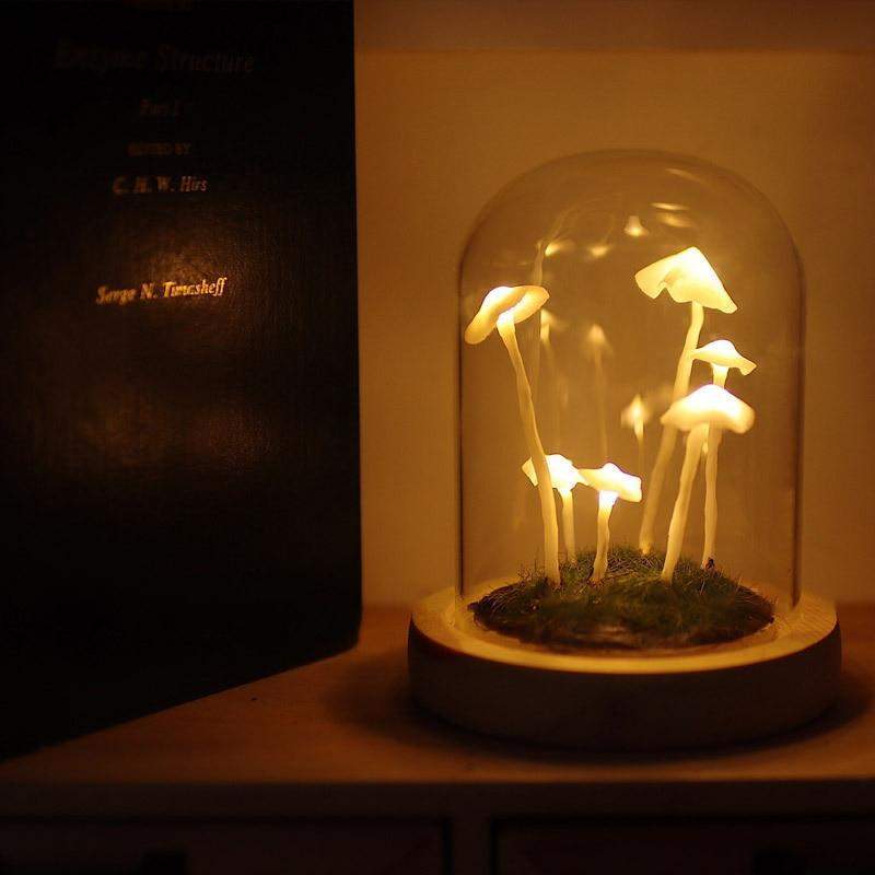 Doe-het-zelf paddenstoelen in bossen licht