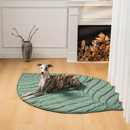 Bladvorm Mens Mat Hond Deken
