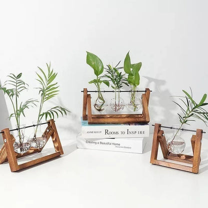 Glas hydroponisk plantevase