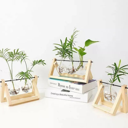 Glas hydroponisk plantevase