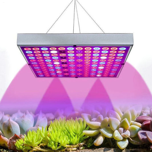Vækst LED lampe