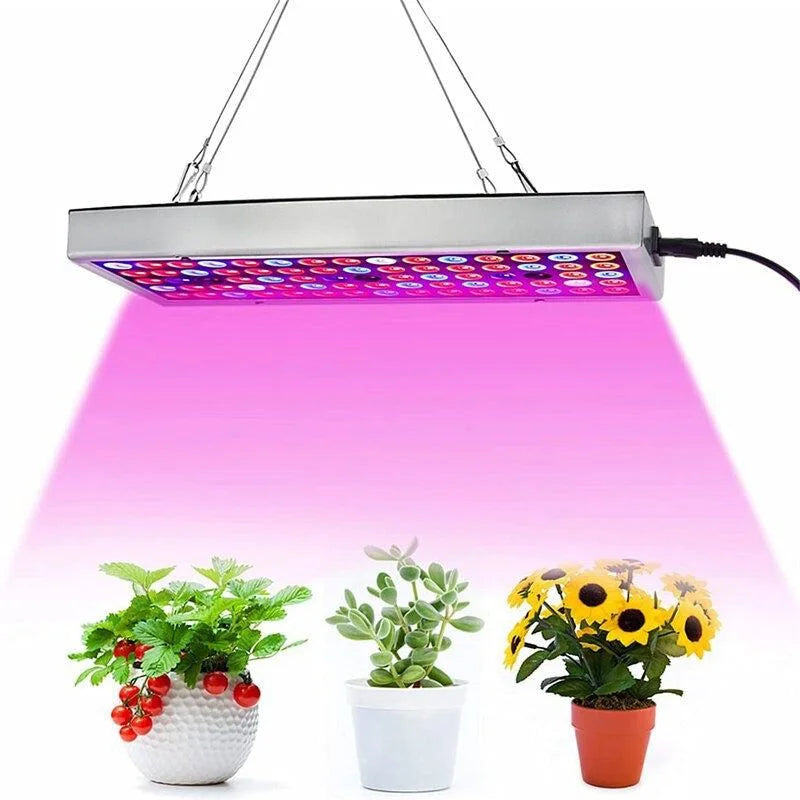 Vækst LED lampe