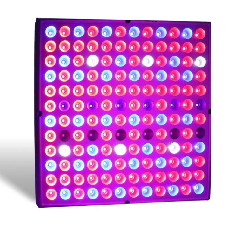 Vækst LED lampe