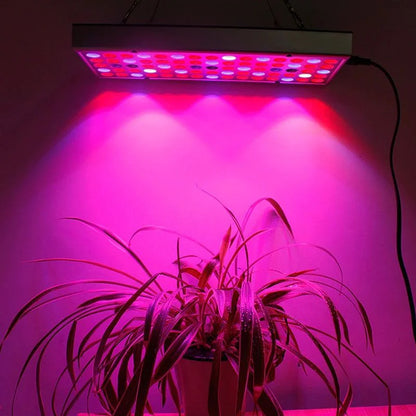 Vækst LED lampe