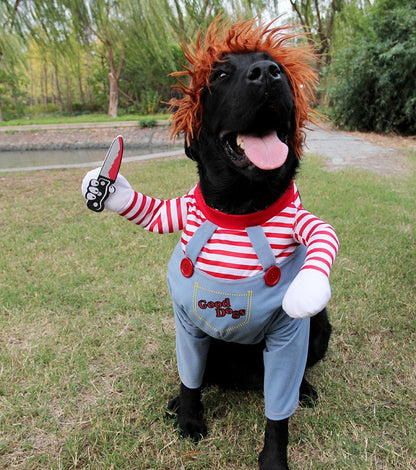 Fancy Dress : Puppies Play