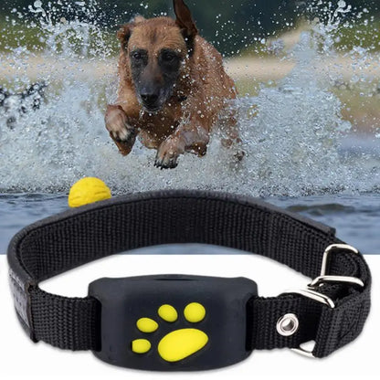 GPS Huisdier Tracker