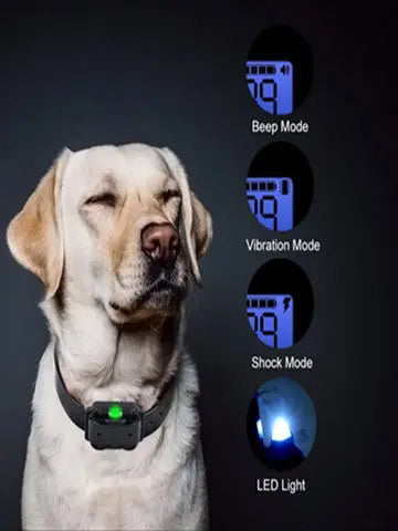 Hondenhalsband Elektrische Honden Trainingshalsband Oplaadbare LCD Display voor Alle Maat Huisdier Trainingshalsband