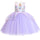LIMITED EDITION Eenhoorn Prinsessenjurk