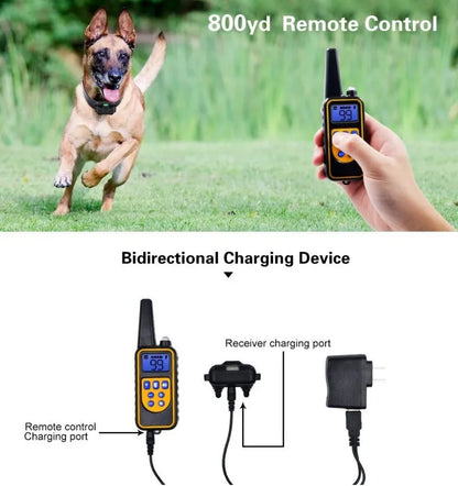 Hondenhalsband Elektrische Honden Trainingshalsband Oplaadbare LCD Display voor Alle Maat Huisdier Trainingshalsband