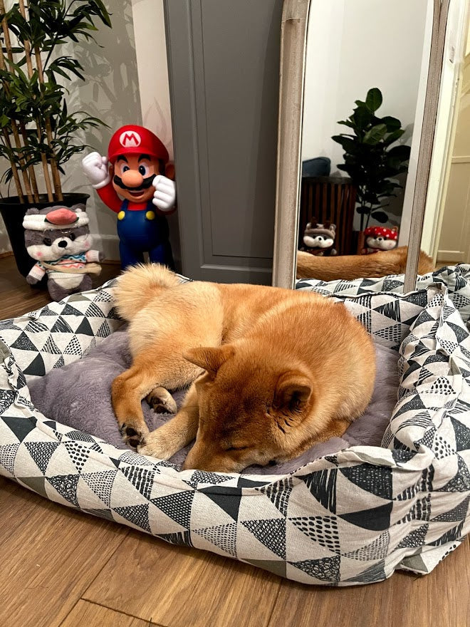 Azteeks huisdierbed