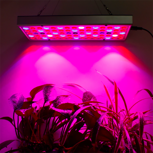 Plantengroeilampen LED groeilamp