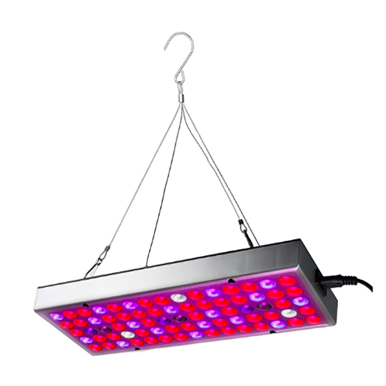 Plantengroeilampen LED groeilamp