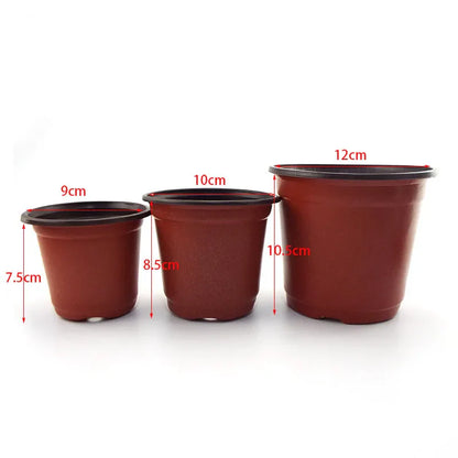 Tuinbakken Kwekerijpotten – Set van 20 stuks/50 stuks