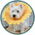 Fancy Dress : Sunflower Head