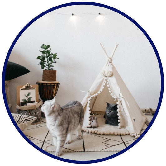 Boheemse huisdier TeePee