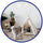Boheemse huisdier TeePee