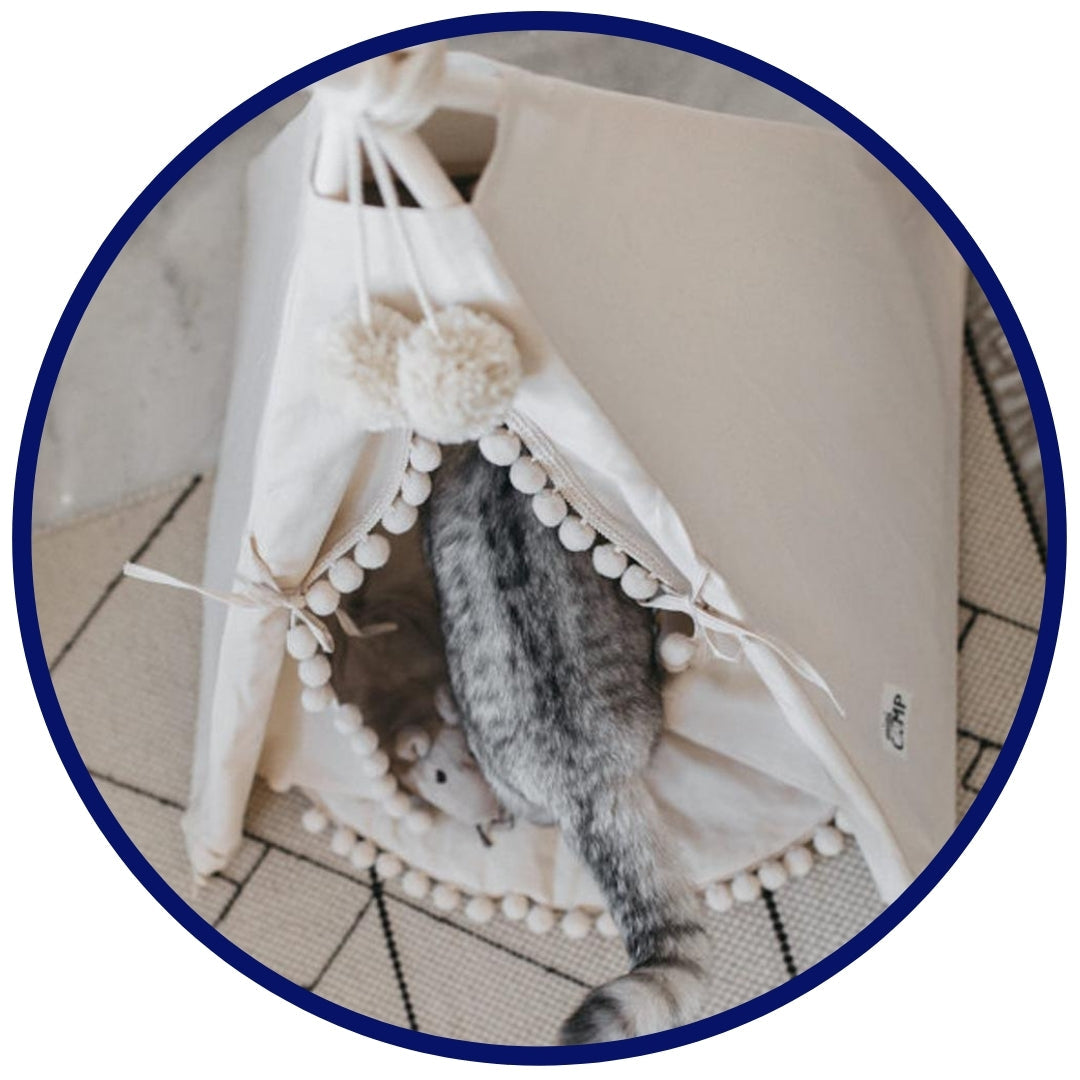 Boheemse huisdier TeePee